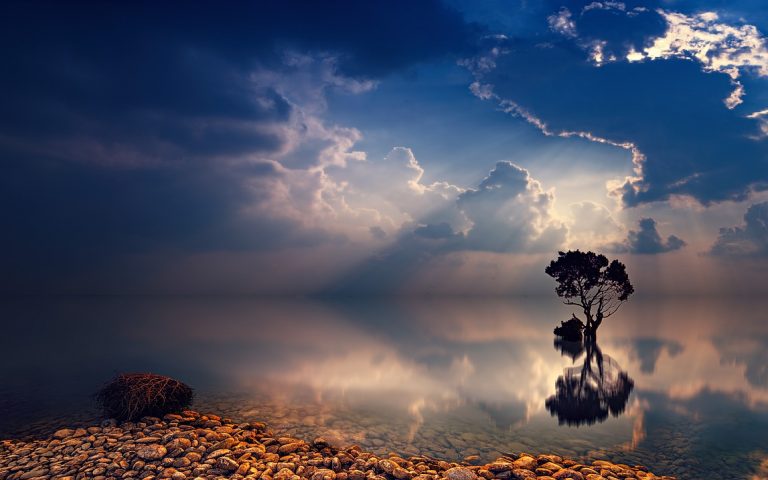 Mindfully Discover Who You Are
