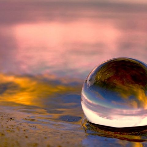 Mindfulness and the Future