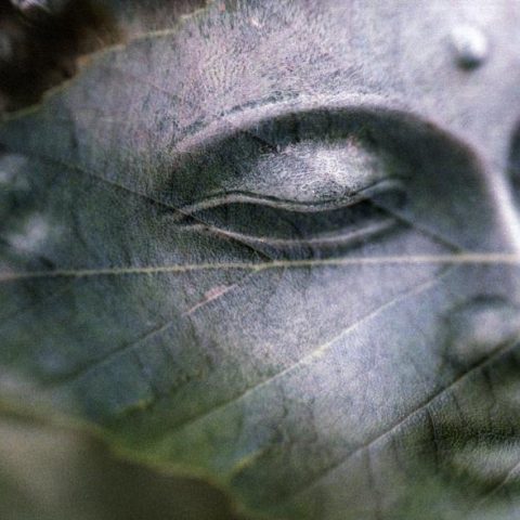 Achieving a Silent Mind