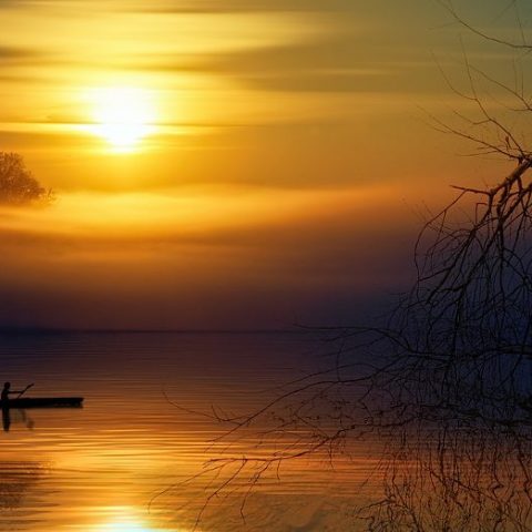 Knowing the Self