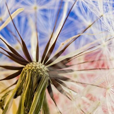 How We Create and End Illusion