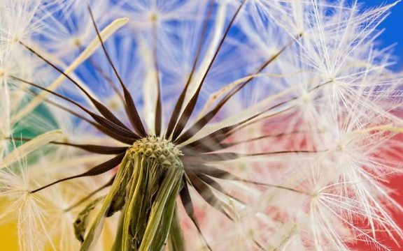 How We Create and End Illusion