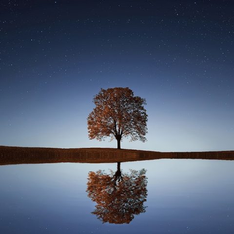 Achieving Calmness