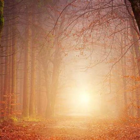 The Purpose of Our Restlessness