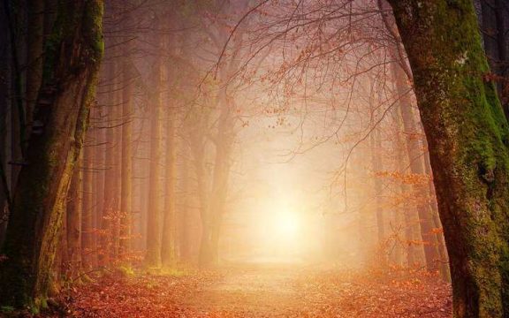 The Purpose of Our Restlessness