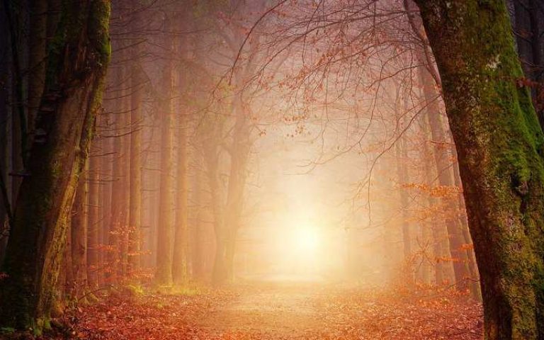 The Purpose of Our Restlessness