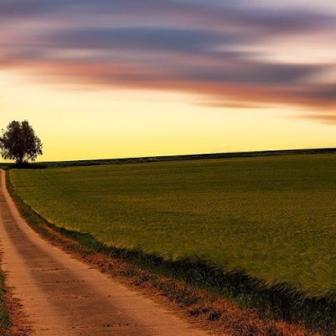 Guiding Us Home