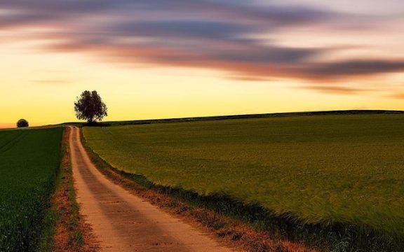Guiding Us Home