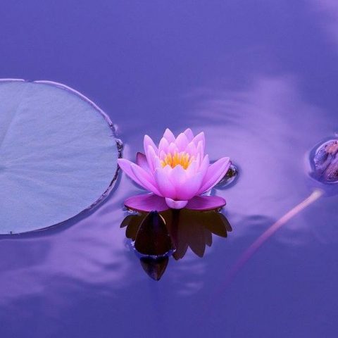 The Bhagavad Gita: Part 2
