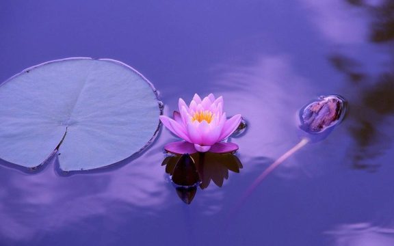 The Bhagavad Gita: Part 2