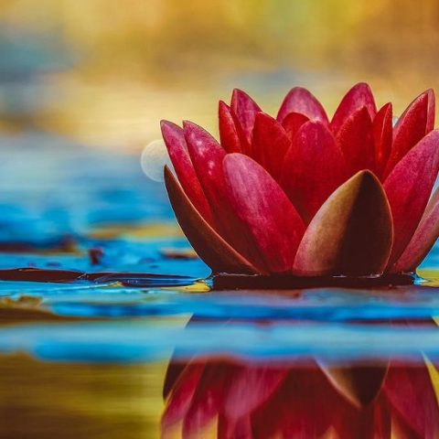 The Bhagavad Gita: Part 1