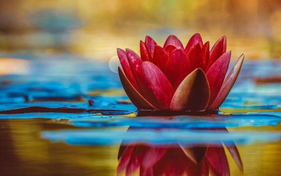The Bhagavad Gita:  Part 1