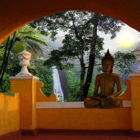 Finding Happiness and Meaning