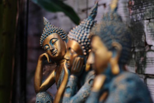 The Entangled Mind: How Suffering Arises and Dissolves